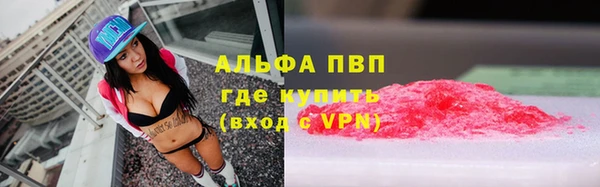 хмурый Карпинск