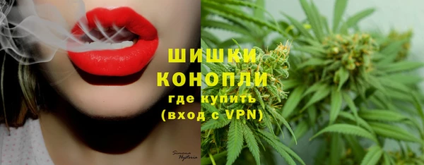 хмурый Карпинск