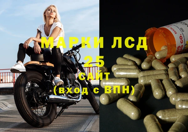 стафф Каменногорск
